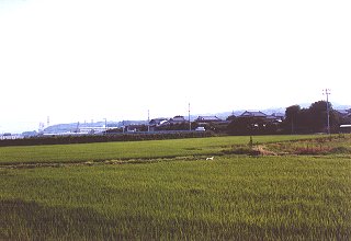 山城椿井郷